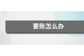 巢湖为什么选择专业追讨公司来处理您的债务纠纷？